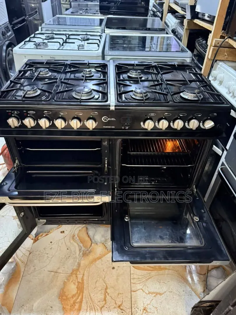 Electronics Gas Cooker