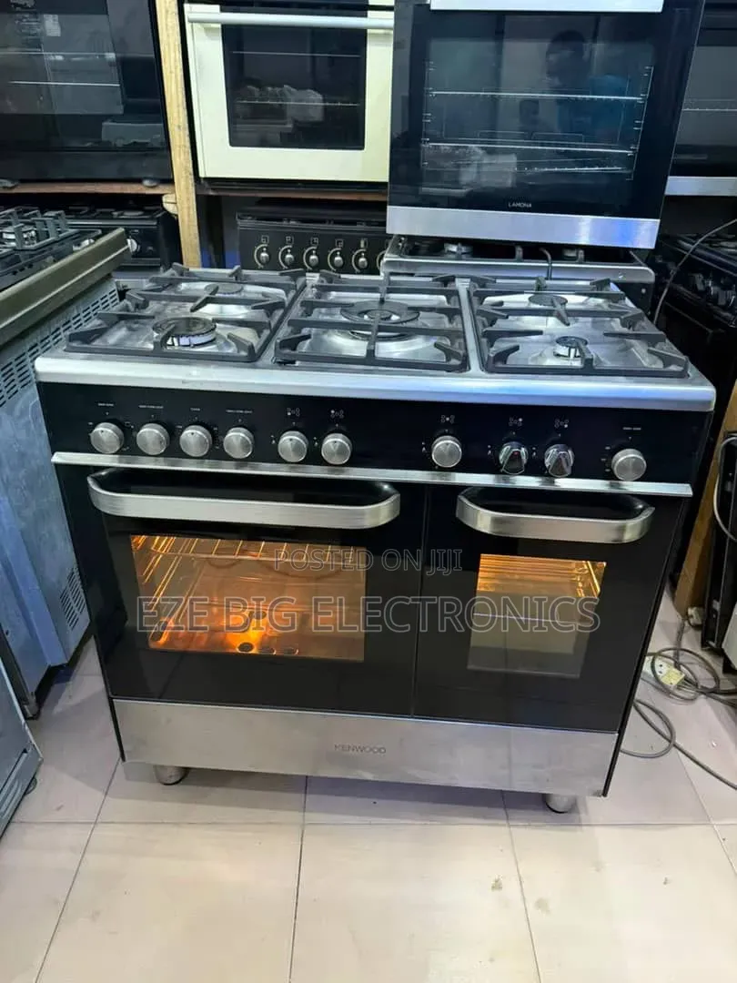 Electronics Gas Cooker
