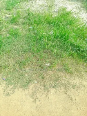 1,273 SQM LAND Victoria Garden. City VGC Lekki Lagos