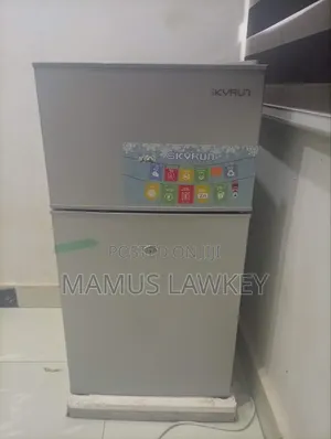 Skyrun Double Door Refrigerator
