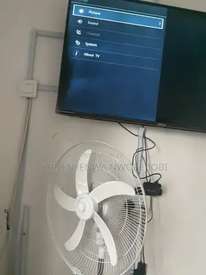 Television