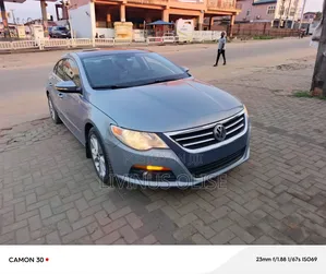 Volkswagen Passat 2010 Blue