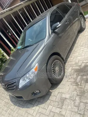 Toyota Camry 2010 Gray