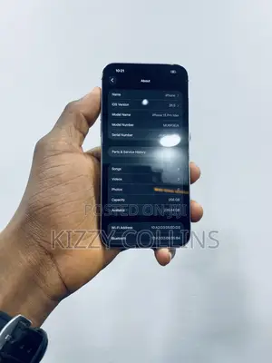 Apple iPhone 15 Pro Max 256 GB Silver