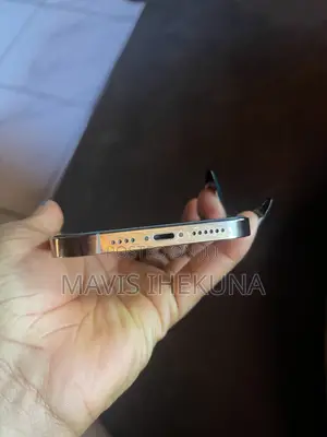 Apple iPhone 12 Pro Max 256 GB Gold