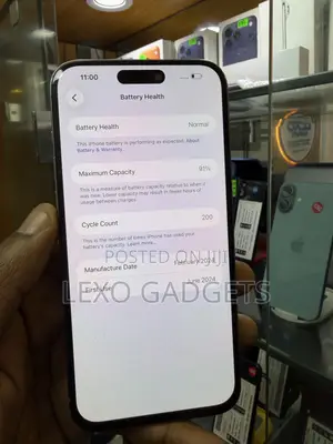 Apple iPhone 15 Pro Max 256 GB Silver