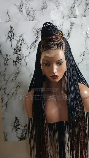 Knotless Braided Wig