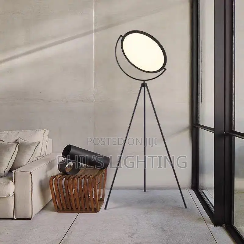 Warm Halo Photographic Fill Light Floor Lamp