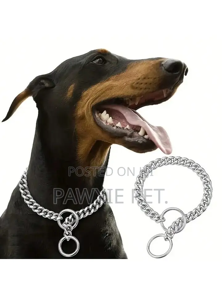Chock Chain Collar 5mm*70cm