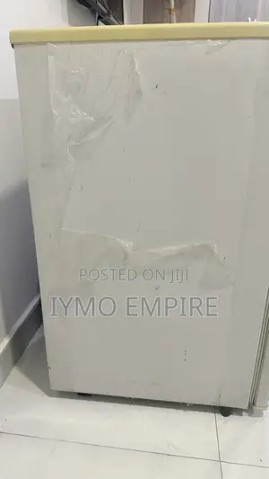 Samsung Fridge