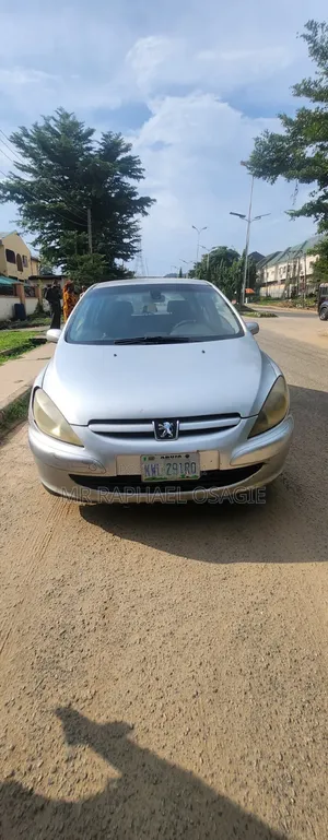 Peugeot 307 2004 Silver