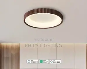 Metal LED Ceiling Light Simplicity Stylish Chandelier