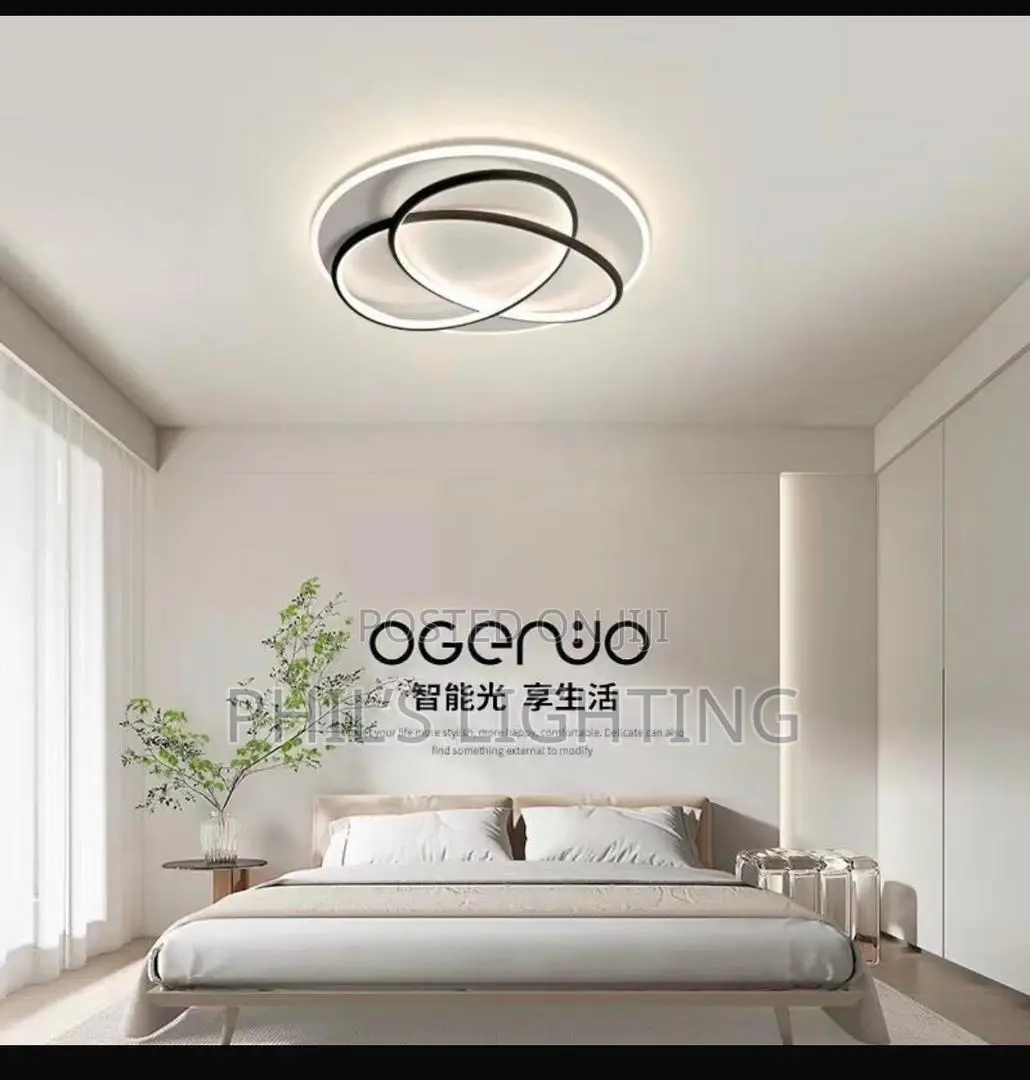Modern LED Ceiling Lamp
