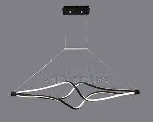 Modern Minimalis Designer Chandelier