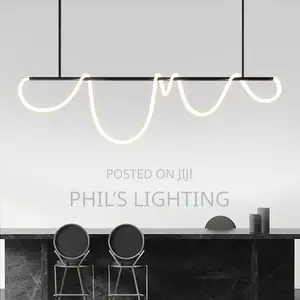 Modern Long Hose Led Ceiling Chandelier