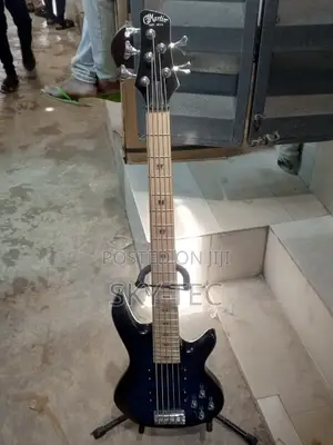 Original Martin 5-Strings Bass Guitar Passive