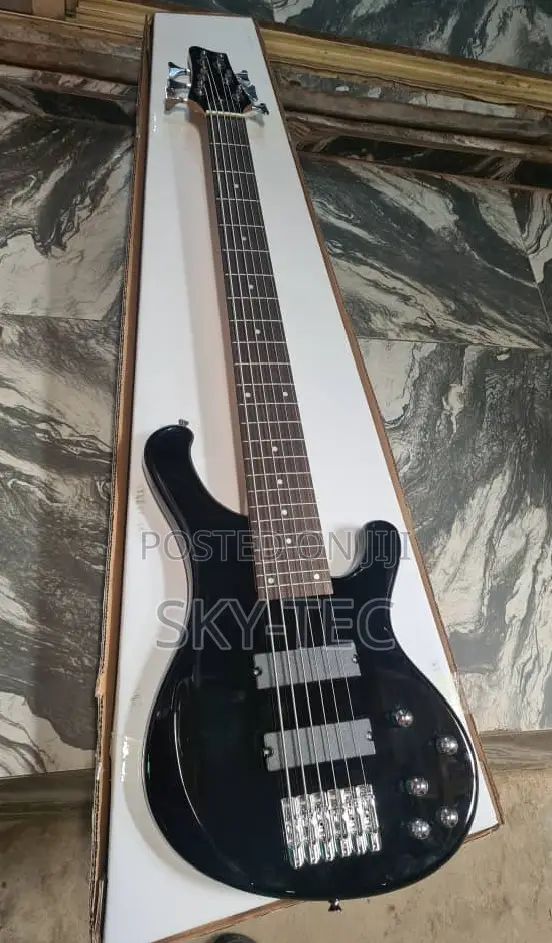 Professional Ibanez 5-Strings Bass Guitar Active