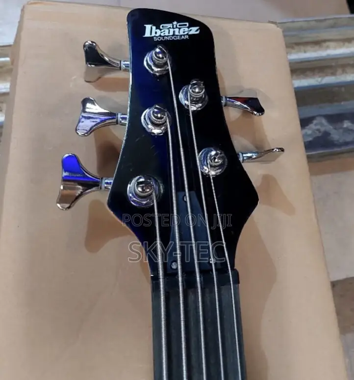 Professional Ibanez 5-Strings Bass Guitar Active