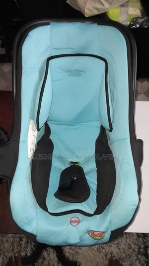 Baby's Car Seat