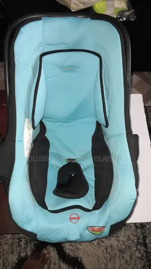 Baby's Car Seat