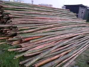 Bamboo Pole to Site at Affordable Price