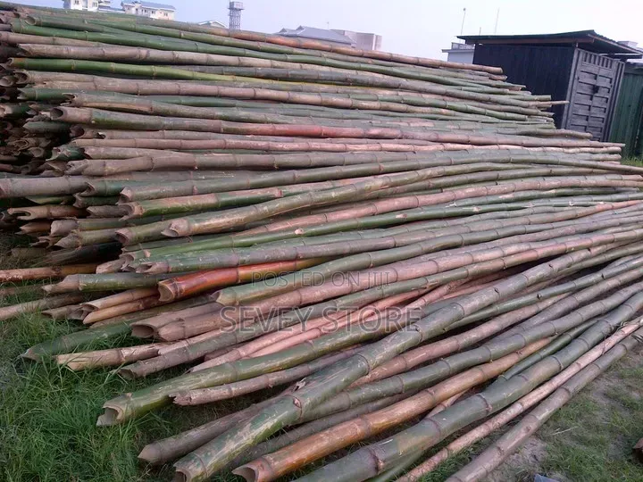 Bamboo Pole to Site at Affordable Price