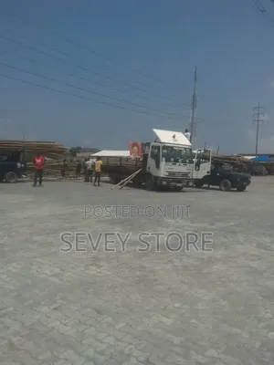 Bamboo Pole to Site at Affordable Price