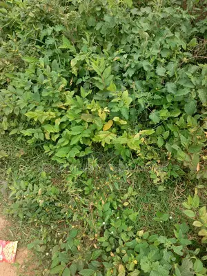 Commercial Land for Sale in Lugbe, Abuja. 3,000 Sqm.