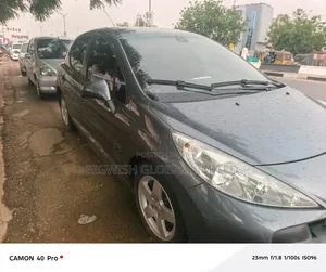Peugeot 207 2006 Gray