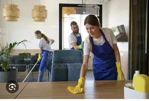 Laundry/Dry Cleaning/Home/Office Cleaning