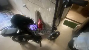 Rechargeable Electric Bike