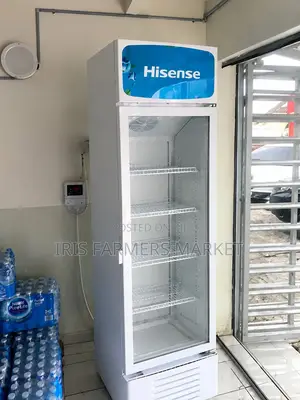 Hisense Low Voltage Chiller 282l (Fl37fc)
