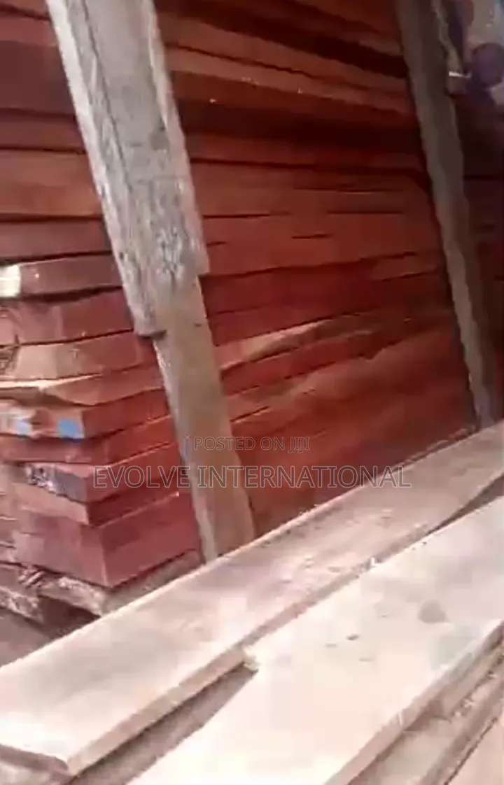 Resilient Wood Planks