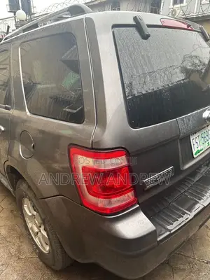 Ford Escape 2010 Gray
