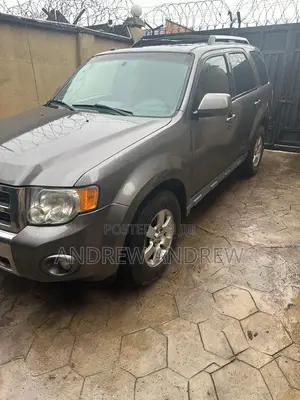 Ford Escape 2010 Gray