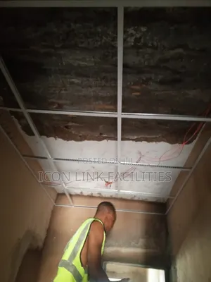 Suspended Ceiling and Plaster Board