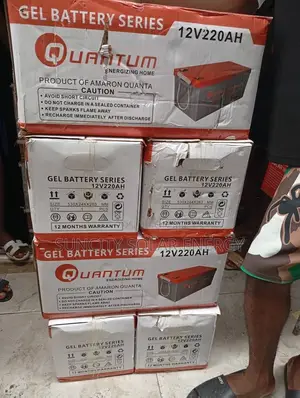 220a/12v Dry Cells Choice Block Batteries