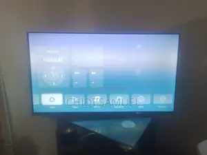 Television