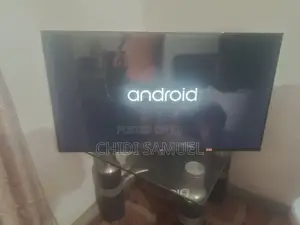 Television