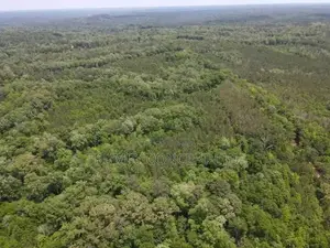 25–30 Acres of Prime Estate Land for Sale – Lagun, Ibadan
