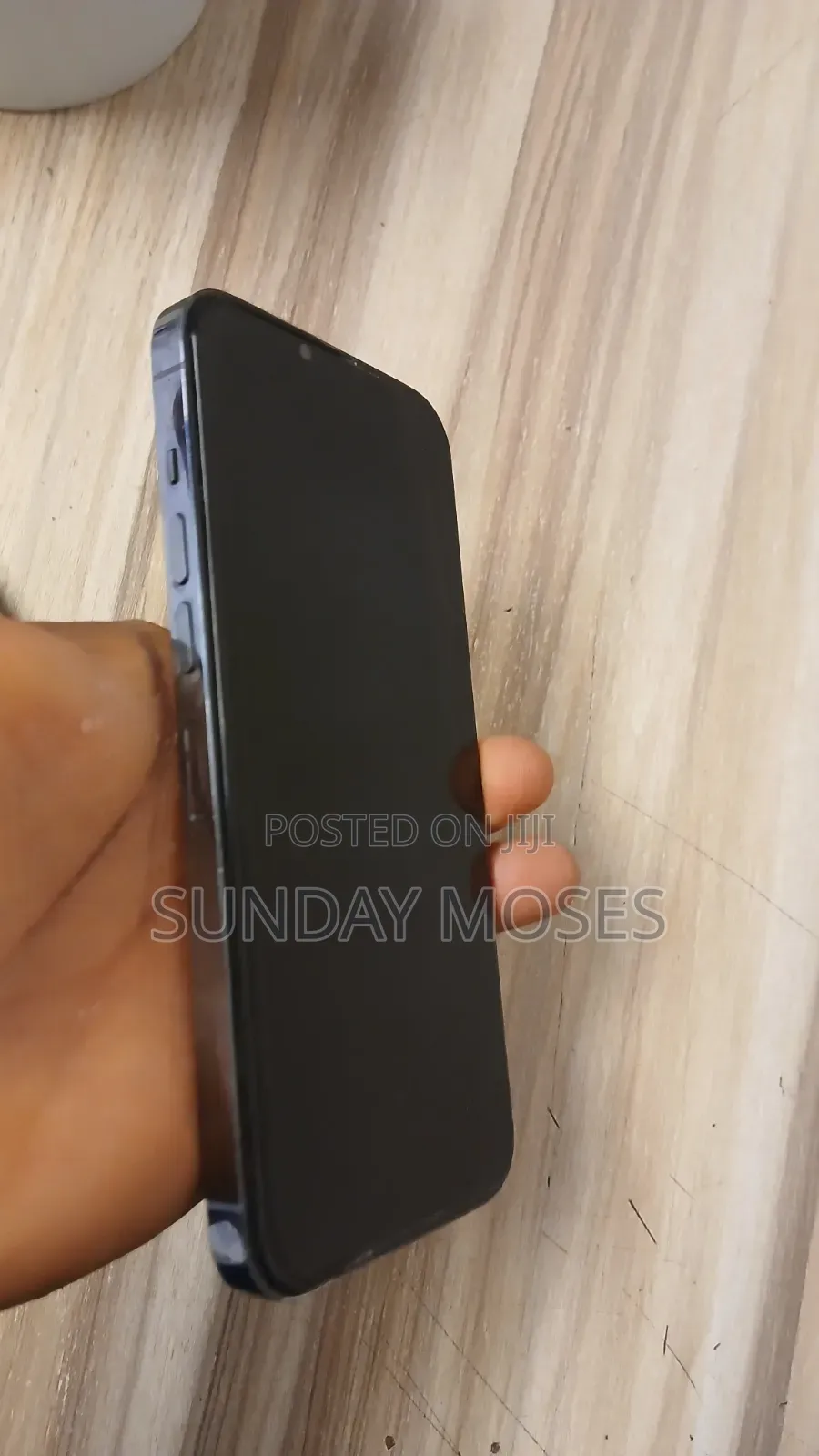 Apple iPhone 13 Pro Max 256 GB Gray