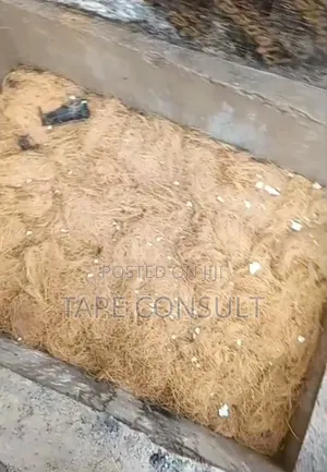 Biodigester Construction