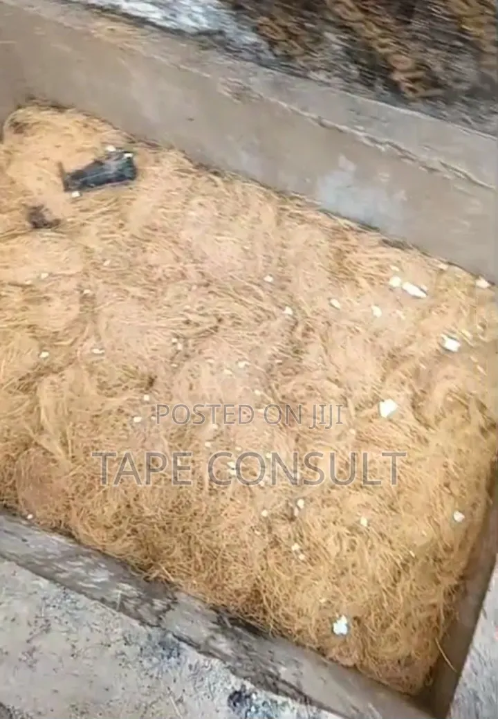 Biodigester Construction