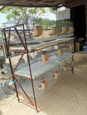 Rabbit Cage