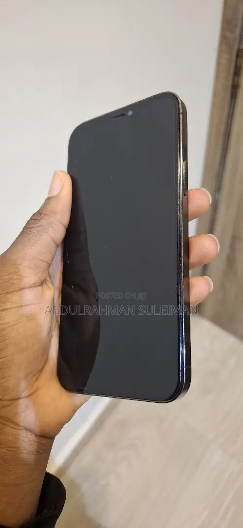 Apple iPhone 12 Pro 256 GB Gray