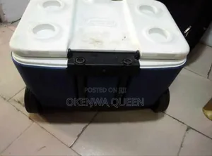 Igloo Cooler