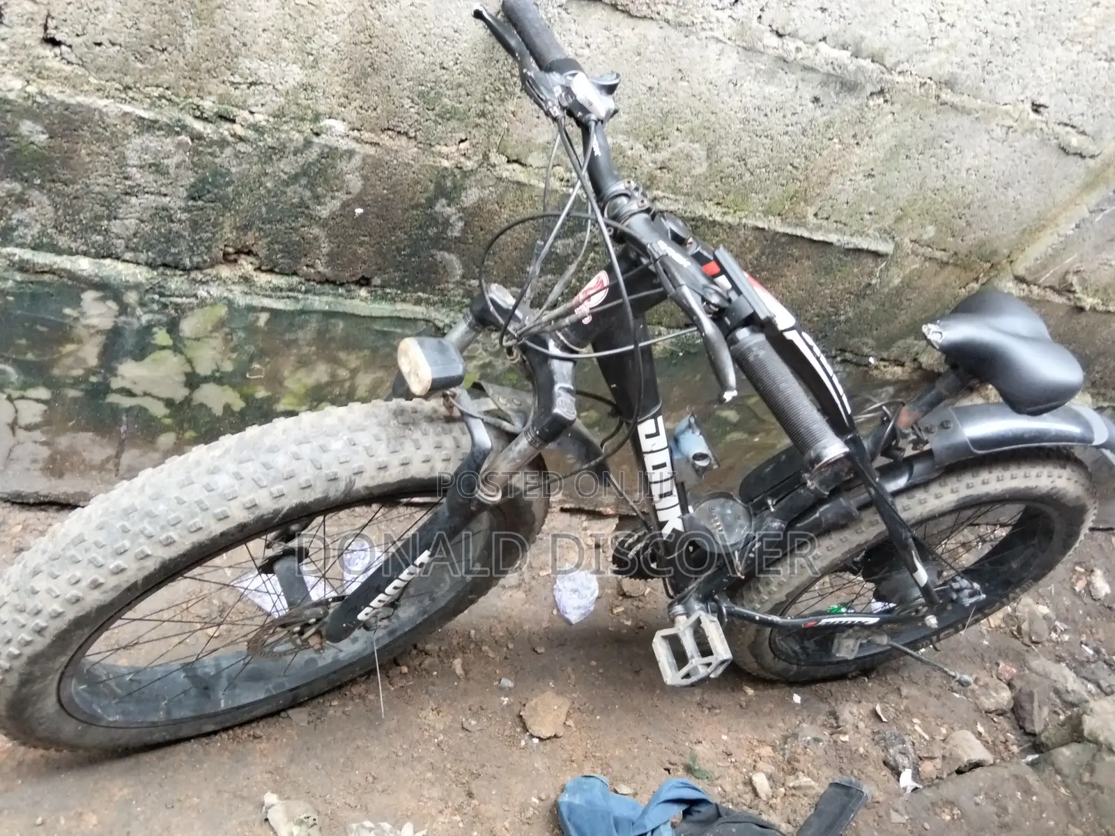 Electric Bicycle