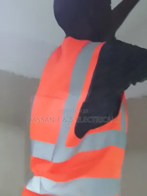 Professional Electrician