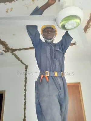 Professional Electrician
