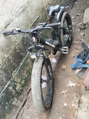Electric Bicycle